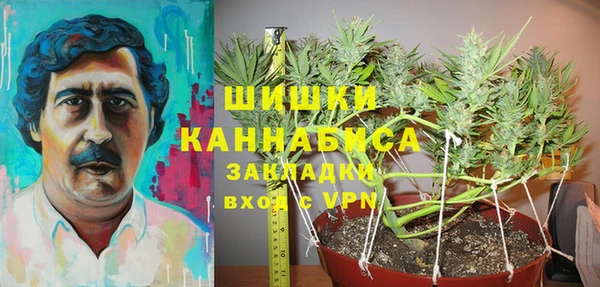 героин Каменка
