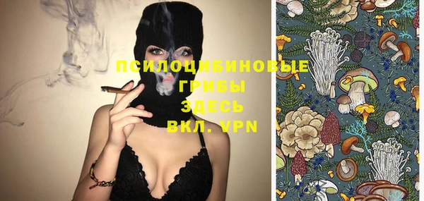 героин Каменка