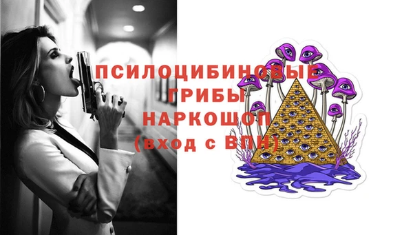 героин Каменка
